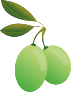 Olive oil; salute; 
